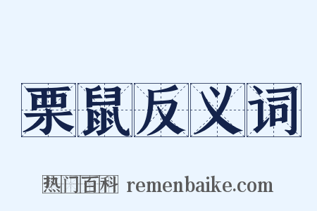 栗鼠反义词是什么意思的图片